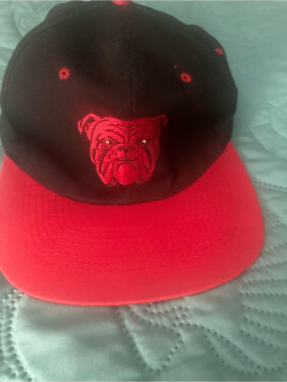 1994 Red Dog Beer Snapback Hat